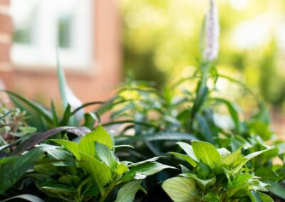 Garden design and landscaping by Ground Effects