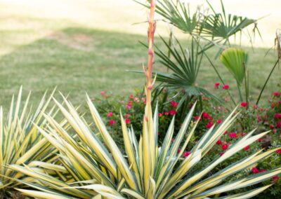 Ground Effects landscape maintenance services