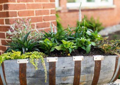 Landscaping service by GFX Greenville SC
