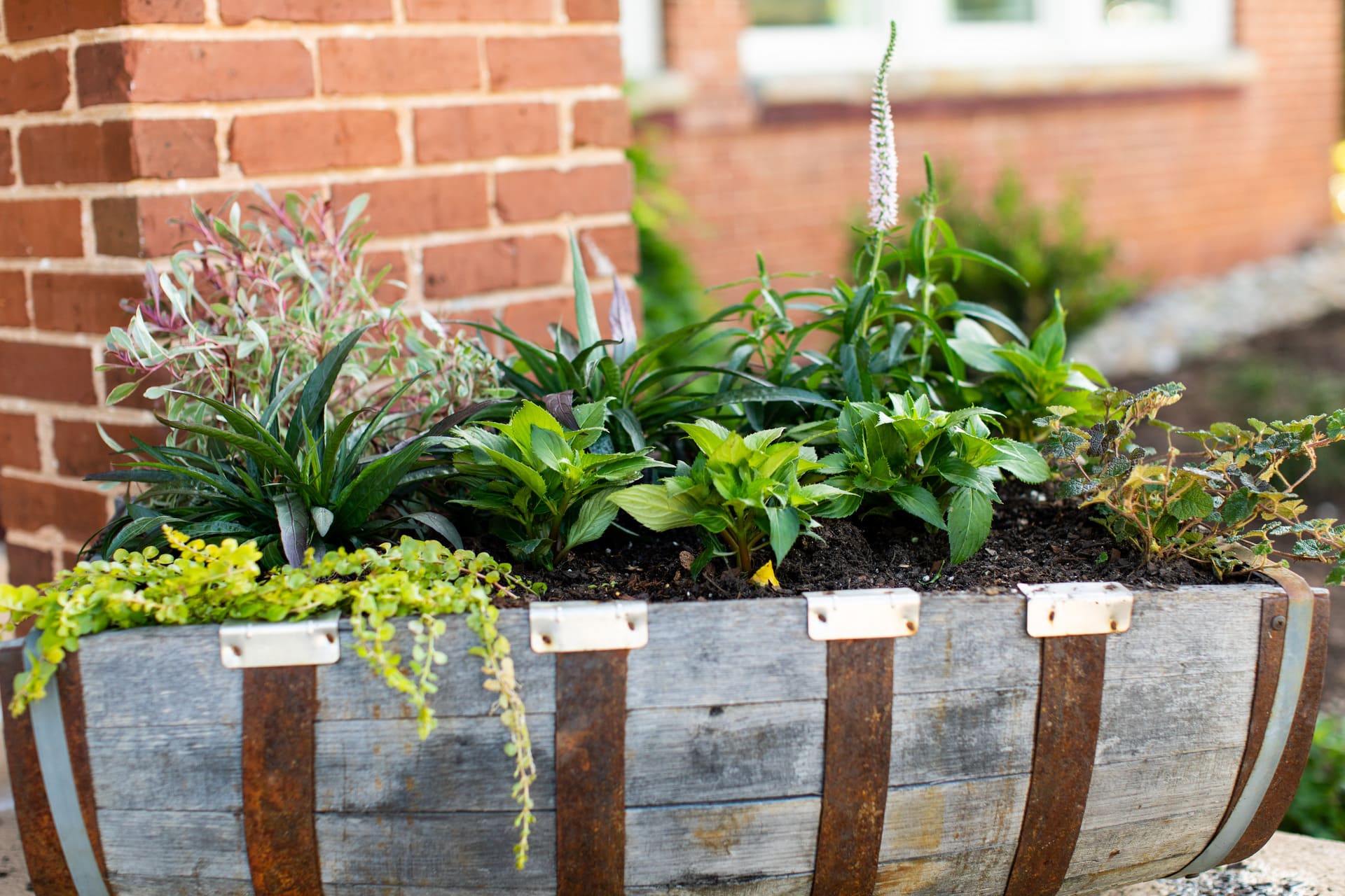 Landscaping service by GFX Greenville SC Landscaping service by GFX Greenville SC