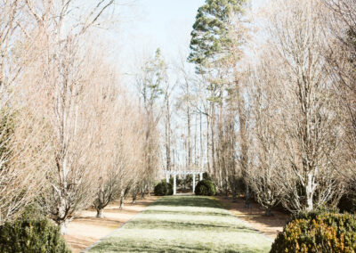 garden design and landscaping