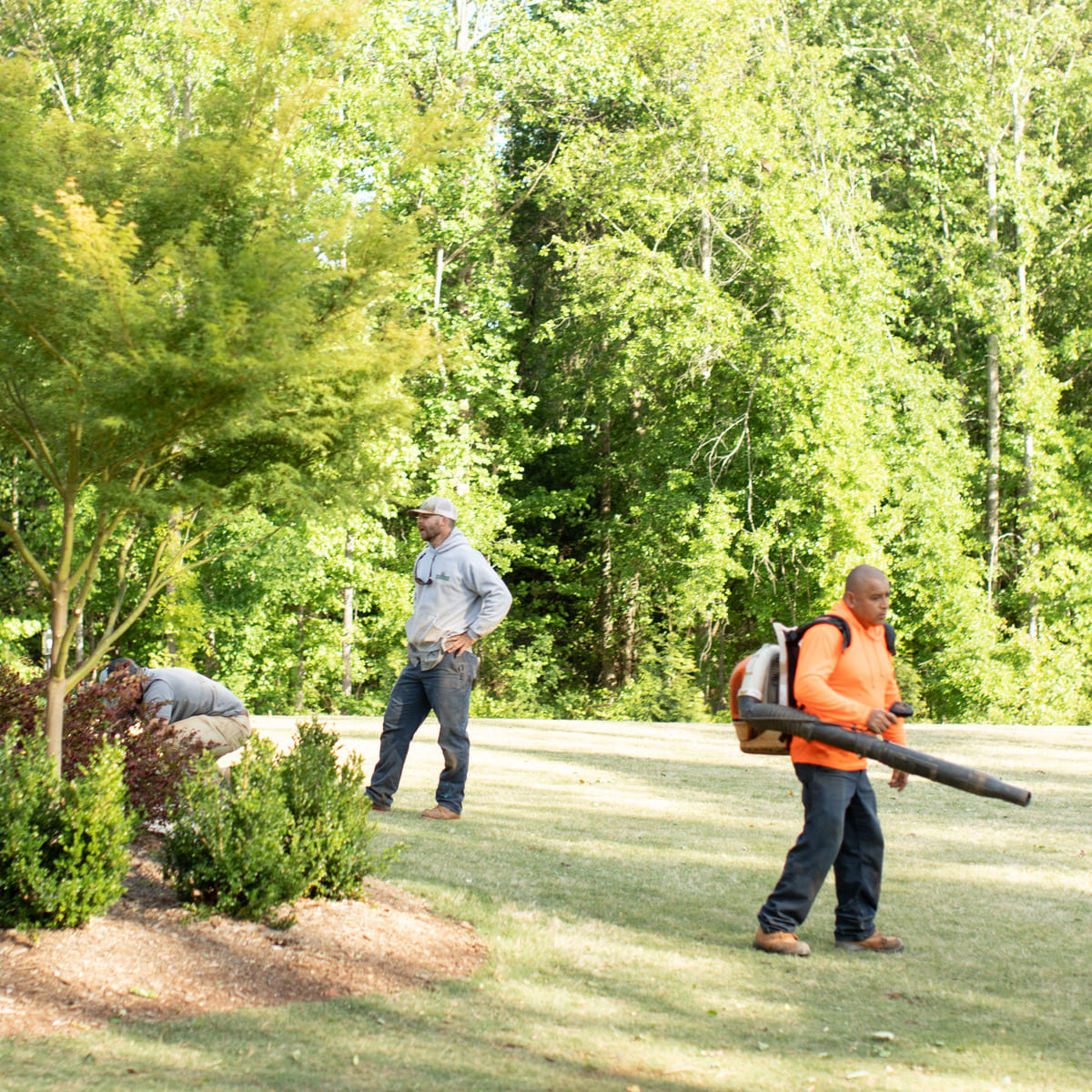 lawn maintenance services near me square crop lawn maintenance services near me square crop
